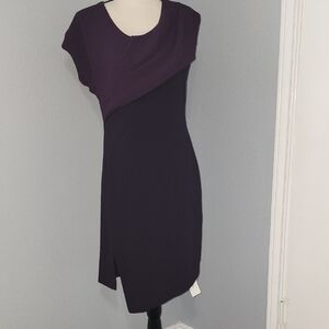 W118 by Walter Baker Asymmetrical Purple Dress